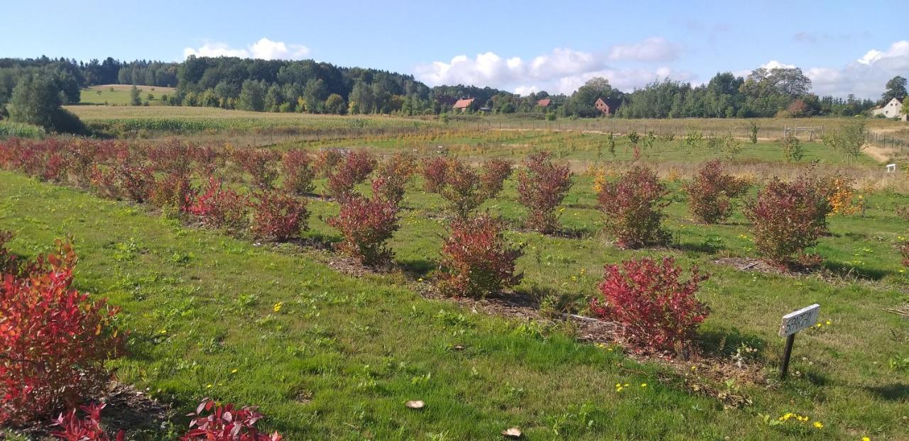 E Berry Farm - Slow Life Kaluzna Kültér fotó